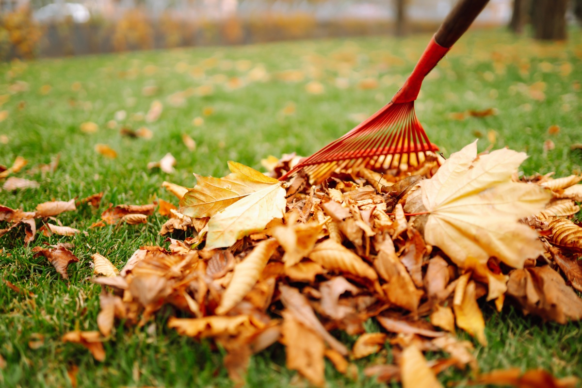 AdobeStock_460503692 (1)